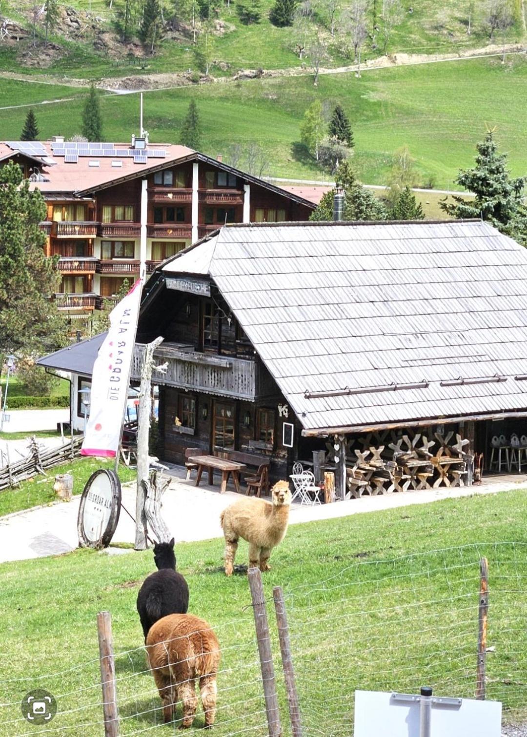 Deluxe Panorama Apartment-Maibrunn-Alm バド クラインキルヒハイム エクステリア 写真